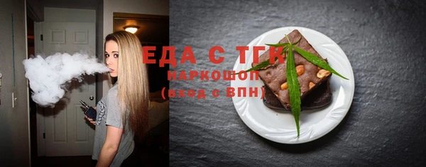 индика Балахна