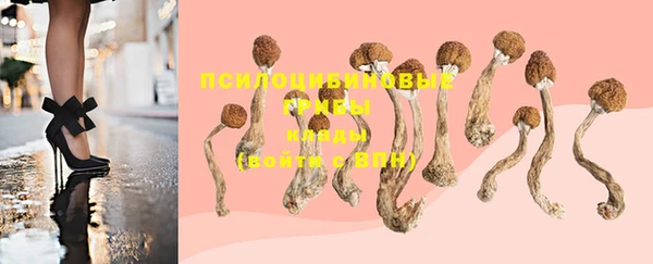 индика Балахна