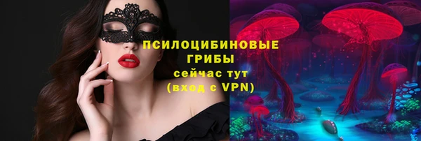 мяу мяу мука Баксан