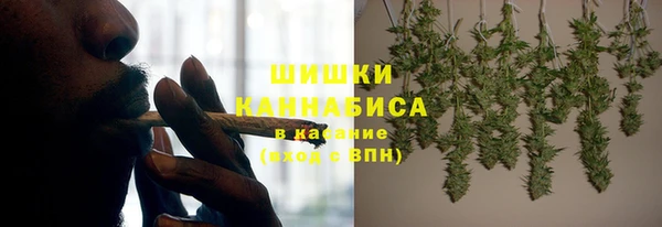 индика Балахна
