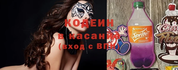 индика Балахна