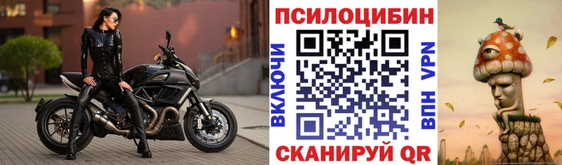 Псилоцибиновые грибы прущие грибы  где продают наркотики  Горячий Ключ 